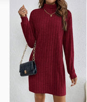 Emma Jones | Ribbed Turtleneck Knit Mini Dress