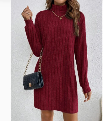 Emma Jones | Ribbed Turtleneck Knit Mini Dress