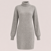 Emma Jones | Ribbed Turtleneck Knit Mini Dress