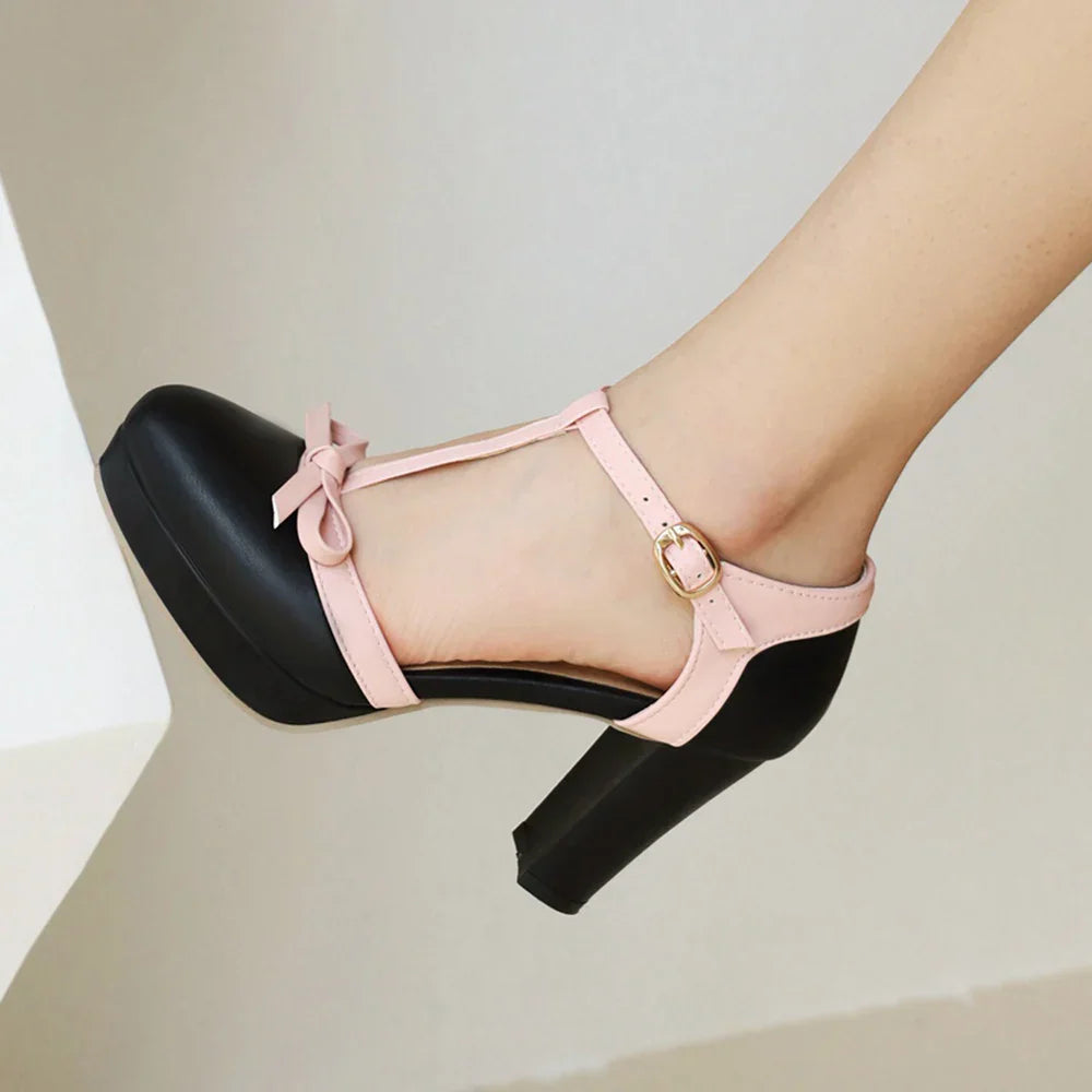Lucienne_Dubois_Elegant_T-Strap_Heels_For_Women_315287963812226.webp