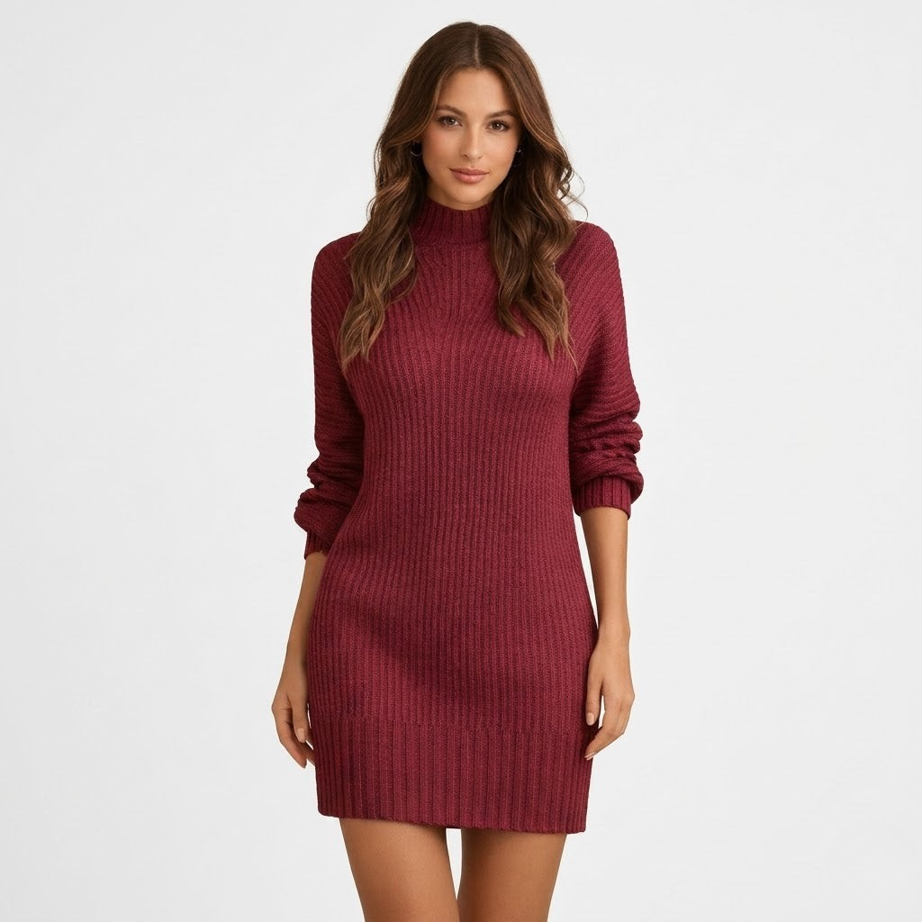 Lydia Barrett | Ribbed Turtleneck Knit Mini Dress