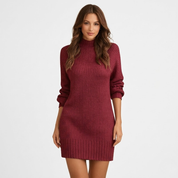 Lydia Barrett | Ribbed Turtleneck Knit Mini Dress