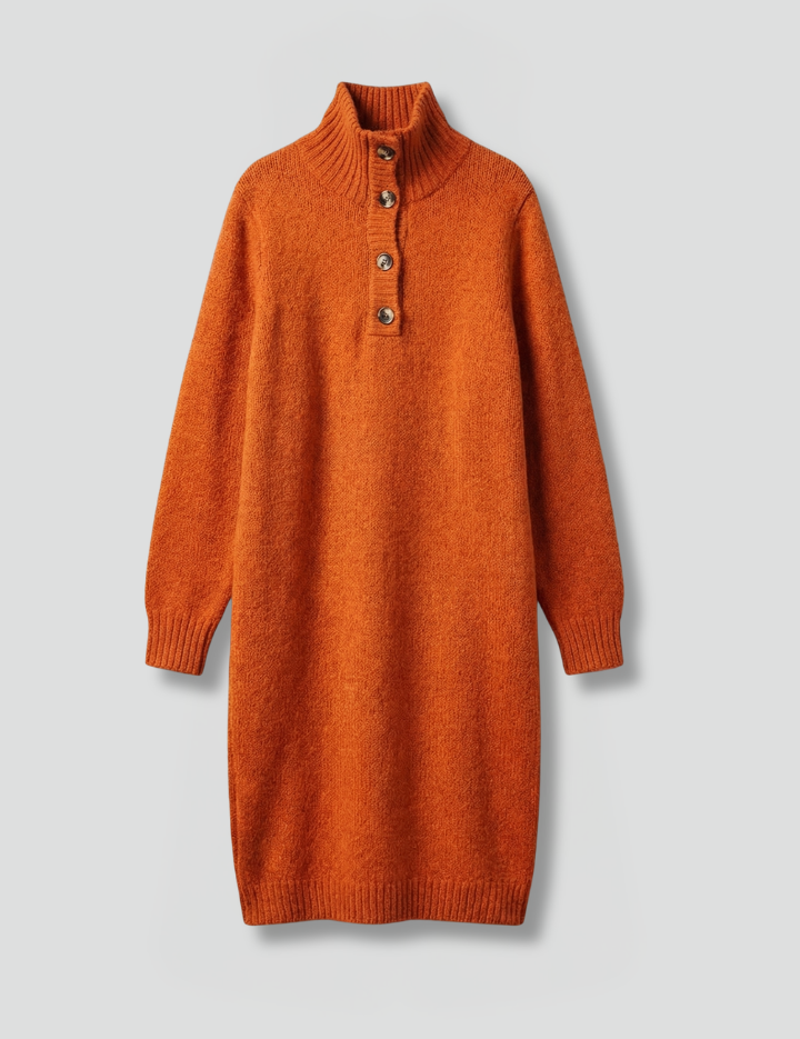 Women_sJumperDresswithHighNeckandButtonPlacket_1.png