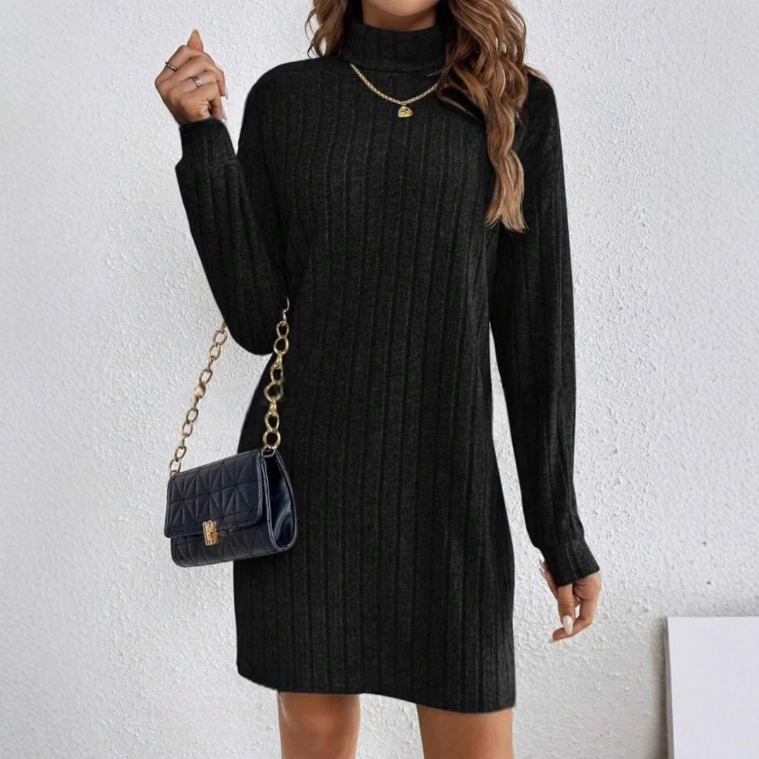 Emma Jones | Ribbed Turtleneck Knit Mini Dress