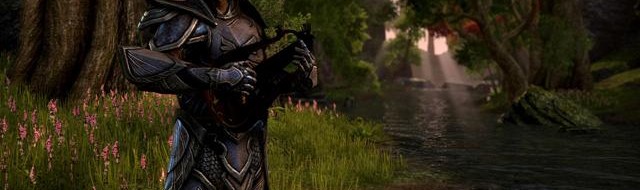 Elder Scrolls Online Launches Without Account Access?